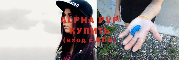 гидра Абаза