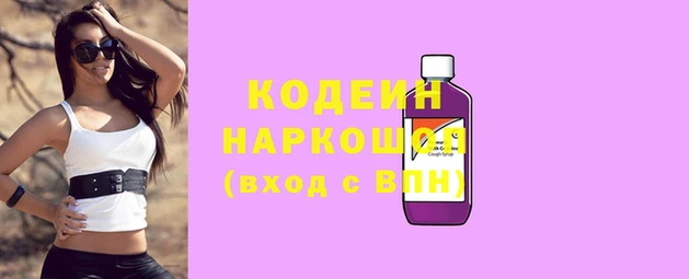 гидра Абаза