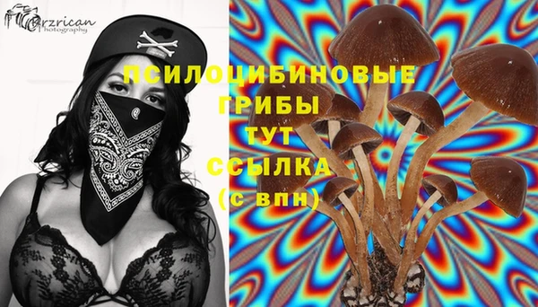 Альфа ПВП Алексин