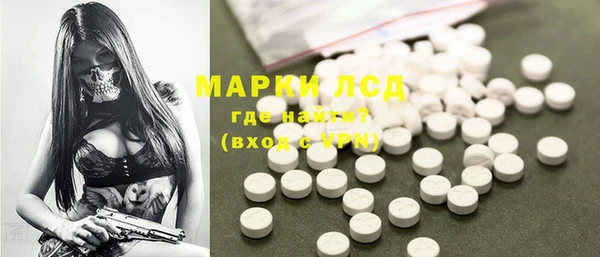 гидра Абаза