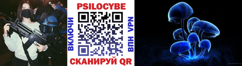 Псилоцибиновые грибы Psilocybine cubensis  купить наркотики цена  Ядрин 